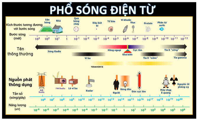 Lý thuyết Vật Lí 11 Cánh diều Bài 2: Sóng dọc và sóng ngang