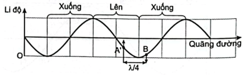 Trắc nghiệm Vật Lí 11 Cánh diều Bài 2 (có đáp án): Sóng dọc và sóng ngang