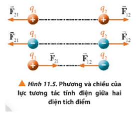 Các cặp lực trong Hình 11.5 có phải là các cặp lực cân bằng không