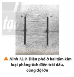 Quan sát Hình 12.9, vẽ đường sức điện trường trong vùng không gian