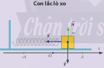 Lý thuyết Vật Lí 11 Chân trời sáng tạo Bài 2: Phương trình dao động điều hoà