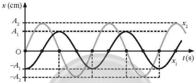 Trắc nghiệm Vật Lí 11 Chân trời sáng tạo Chương 1 (có đáp án): Dao động