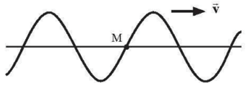 Trắc nghiệm Vật Lí 11 Chân trời sáng tạo Bài 5 (có đáp án): Sóng và sự truyền sóng