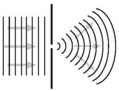 Trắc nghiệm Vật Lí 11 Chân trời sáng tạo Bài 5 (có đáp án): Sóng và sự truyền sóng
