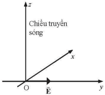 Trắc nghiệm Vật Lí 11 Chân trời sáng tạo Bài 7 (có đáp án): Sóng điện từ