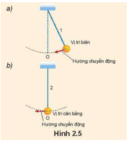 Hai con lắc 1 và 2 dao động điều hoà tại cùng thời điểm quan sát vị trí của chúng được biểu diễn