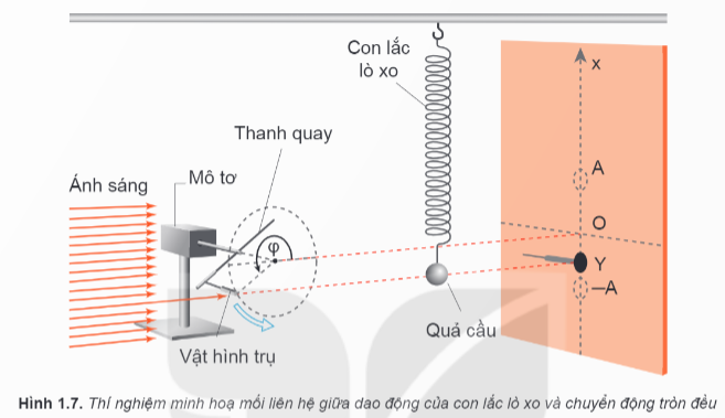 Lý thuyết Vật Lí 11 Kết nối tri thức Bài 1: Dao động điều hoà