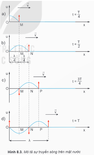 Lý thuyết Vật Lí 11 Kết nối tri thức Bài 8: Mô tả sóng