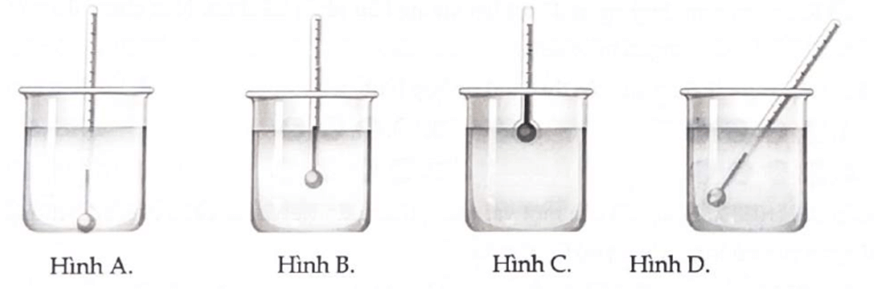 Trắc nghiệm Vật Lí 12 Cánh diều Bài 3 (có đáp án): Thang nhiệt độ