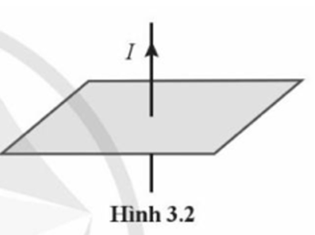 Trắc nghiệm Vật Lí 12 Chân trời sáng tạo Bài 9 (có đáp án): Khái niệm từ trường