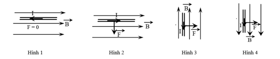 Bài tập ôn tập Vật Lí 12 Kết nối tri thức Chương 3 (có đúng sai, trả lời ngắn)