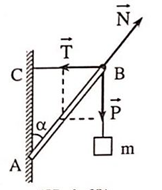 70 câu trắc nghiệm Tĩnh học vật rắn có lời giải (nâng cao - phần 3) | Bài tập Vật Lí 10 có đáp án và lời giải chi tiết