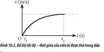 Bài tập vận dụng định luật II Newton lớp 10 (cách giải + bài tập)