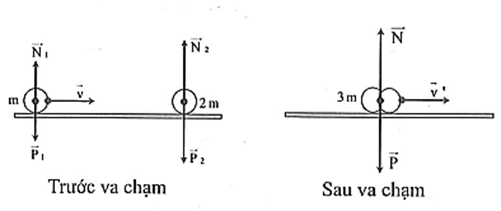 Các loại va chạm lớp 10