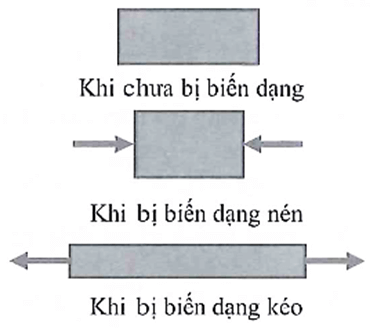 Chuyên đề Biến dạng vật rắn lớp 10