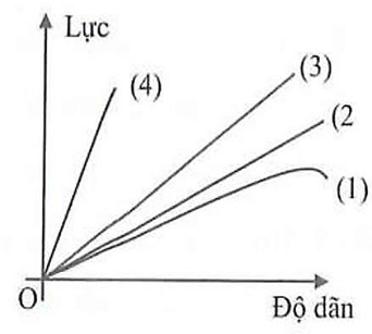 Chuyên đề Biến dạng vật rắn lớp 10