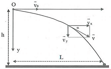 Chuyển động rơi tự do và chuyển động ném lớp 10