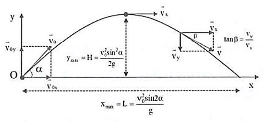 Chuyển động rơi tự do và chuyển động ném lớp 10