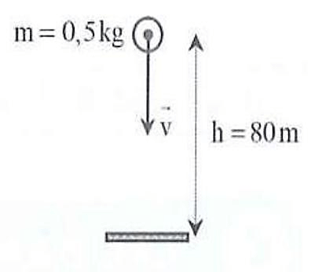 Động lượng. Định luật bảo toàn động lượng lớp 10