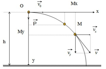 Vật Lí lớp 10 | Chuyên đề: Lý thuyết và Bài tập Vật Lí 10 có đáp án