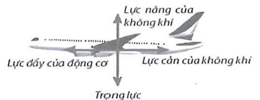 Một số lực trong thực tiễn lớp 10