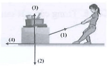 Một số lực trong thực tiễn lớp 10