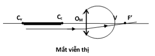 100 câu trắc nghiệm Mắt, Các dụng cụ quang có lời giải (cơ bản - phần 1)