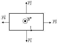 50 câu trắc nghiệm Từ trường có lời giải (nâng cao - phần 1)