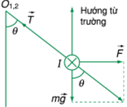 50 câu trắc nghiệm Từ trường có lời giải (nâng cao - phần 1)