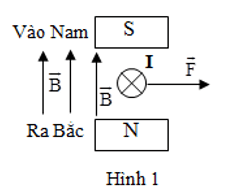 Vật Lí lớp 11 | Chuyên đề: Lý thuyết - Bài tập Vật Lý 11 có đáp án