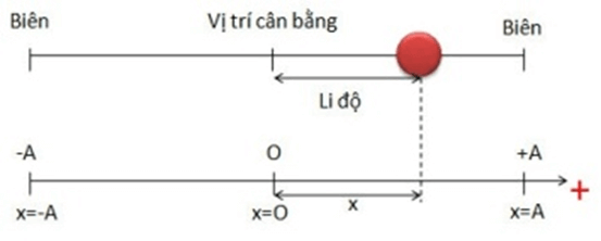 Dao động điều hòa lớp 11