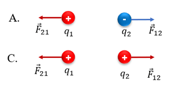 Lực tương tác giữa hai điện tích lớp 11