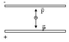Lý thuyết Điện trường và cường độ điện trường. Đường sức điện | Chuyên đề: Lý thuyết - Bài tập Vật Lý 11 có đáp án