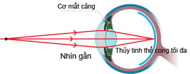 Lý thuyết Mắt | Chuyên đề: Lý thuyết - Bài tập Vật Lý 11 có đáp án