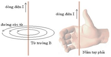 Lý thuyết Từ trường của dòng điện chạy trong các dây dẫn có hình dạng đặc biệt | Chuyên đề: Lý thuyết - Bài tập Vật Lý 11 có đáp án