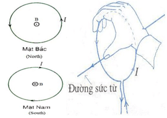 Lý thuyết Từ trường của dòng điện chạy trong các dây dẫn có hình dạng đặc biệt | Chuyên đề: Lý thuyết - Bài tập Vật Lý 11 có đáp án