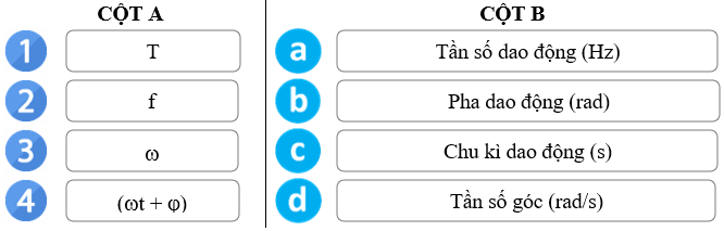 Mô tả dao động điều hòa lớp 11