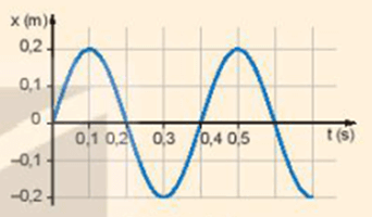 Mô tả dao động điều hòa lớp 11