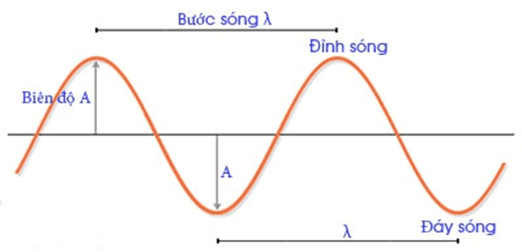 Mô tả sóng lớp 11