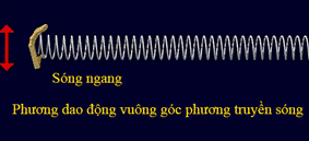 Mô tả sóng lớp 11 (ảnh 5)