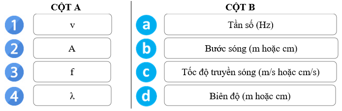 Mô tả sóng lớp 11