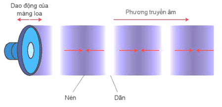 Sóng ngang, sóng dọc, sự truyền năng lượng của sóng cơ lớp 11