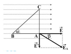 Vật Lí lớp 11 | Chuyên đề: Công của lực điện, Hiệu điện thế đề: Lý thuyết - Bài tập Vật Lý 11 có đáp án