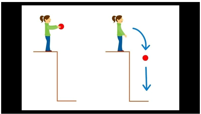 Cơ năng là gì? Cách tính cơ năng (chi tiết nhất)