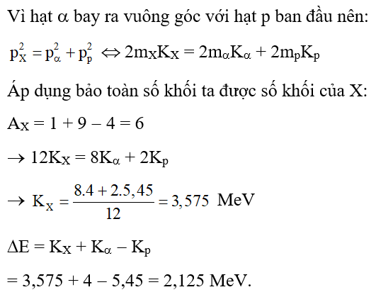 Dạng bài tập Các định luật bảo toàn trong phản ứng hạt nhân hay, chi tiết