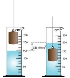 Lý thuyết Đo thể tích vật rắn không thấm nước | Lý thuyết - Bài tập Vật Lý 6 có đáp án