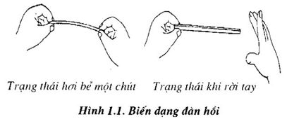 Lý thuyết Lực đàn hồi | Lý thuyết - Bài tập Vật Lý 6 có đáp án