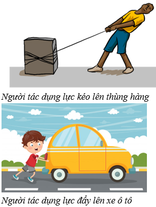 Lý thuyết Lực - Hai lực cân bằng | Lý thuyết - Bài tập Vật Lý 6 có đáp án