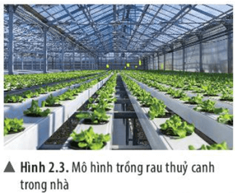 Nhận biết các hoạt động, vai trò, lĩnh vực chủ yếu của nghiên cứu khoa học (cách giải + bài tập)