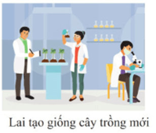 Nhận biết các hoạt động, vai trò, lĩnh vực chủ yếu của nghiên cứu khoa học (cách giải + bài tập)